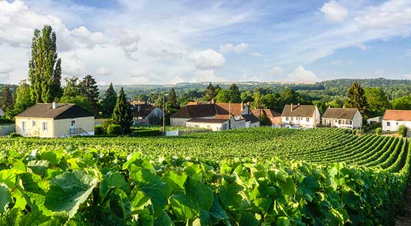 EPERNAY-3.jpg