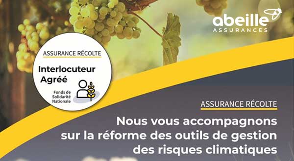 card-repere-1.jpg