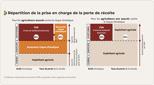 card-repere-2.png